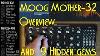 Moog Mother 32 Review And 9 Hidden Gems